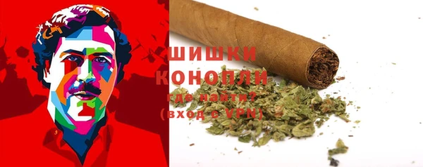 ГАЛЛЮЦИНОГЕННЫЕ ГРИБЫ Балабаново