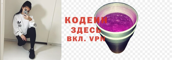 ГАЛЛЮЦИНОГЕННЫЕ ГРИБЫ Балабаново