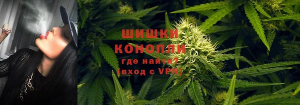 гашик Балахна