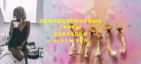 ГАЛЛЮЦИНОГЕННЫЕ ГРИБЫ Балабаново
