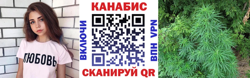shop какой сайт  Николаевск  Марихуана планчик  дарнет шоп 